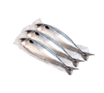 Mackerel Fish Bag – Pack of 4