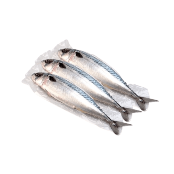 Mackerel Fish Bag - Pack of 4