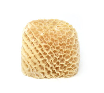 Honeycomb Tripe Saki