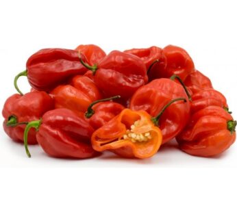 Frozen Scotch Bonnet (Ata Rodo) 500g