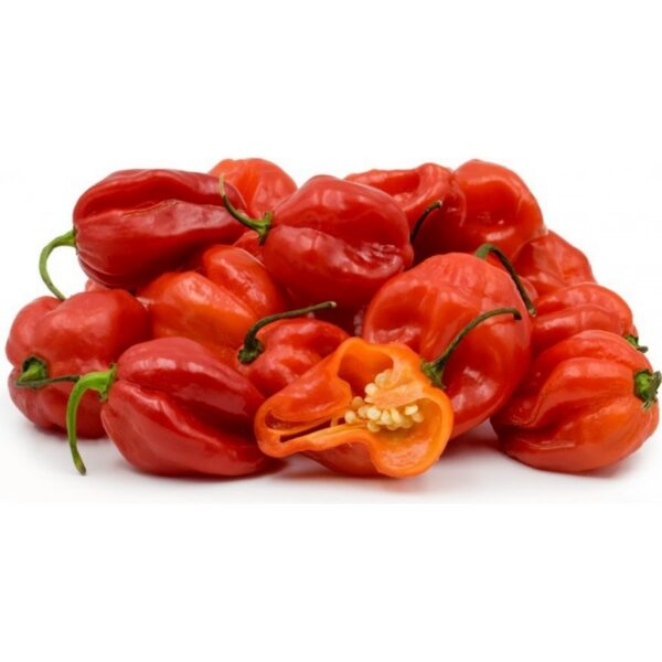 Frozen Scotch Bonnet (Ata Rodo) 500g