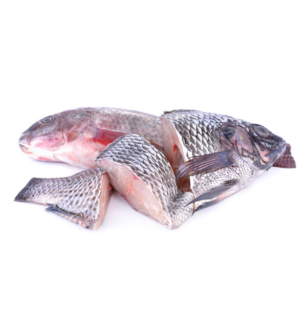 Tilapia 2kg - Image 3