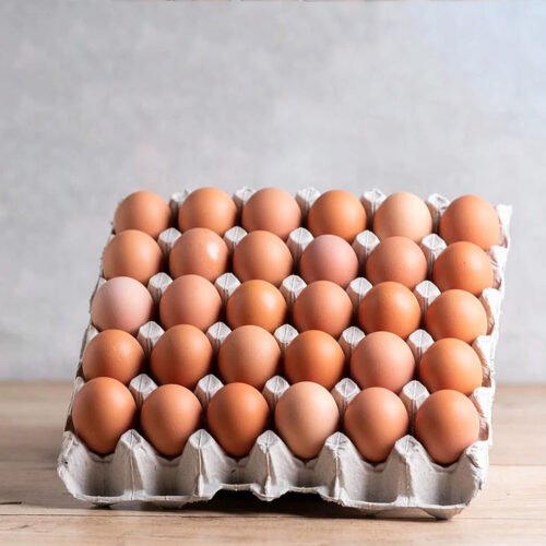 Egg Tray 30