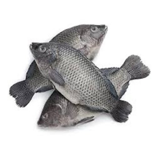 Tilapia 2kg