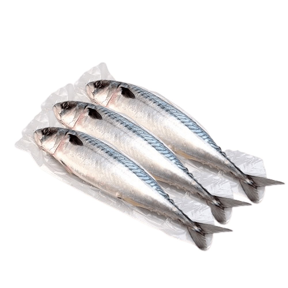 Mackerel Fish Bag – Pack of 4