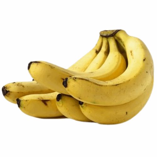 Yellow Plantain x2