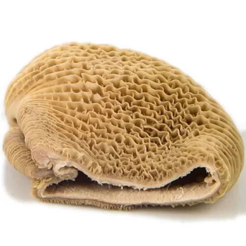 Tripe (Shaki)